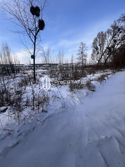 Продаж земельної ділянки 2 га Hnidyn - photo 12