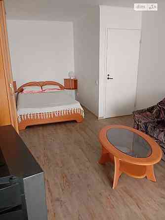 Оренда Квартира 1-кімнатна, 2/16 поверх на Коперника, 14 Kiev