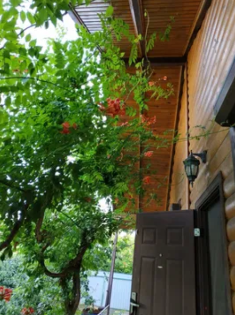 Продаж Будинок 3-кімнатний на ул. Садовая, 26 Нова Дофінівка - фото 17