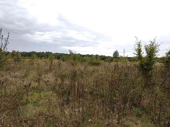 Продаж земельної ділянки 35.3 соток Pavlivka