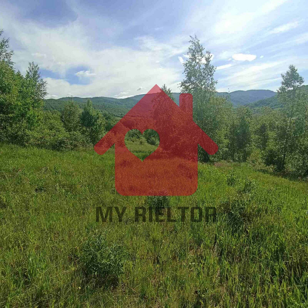 Продаж земельної ділянки 45 соток  - photo 4