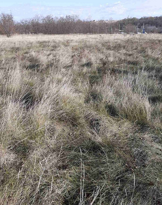 Продаж земельної ділянки 17 соток Липове - фото 5