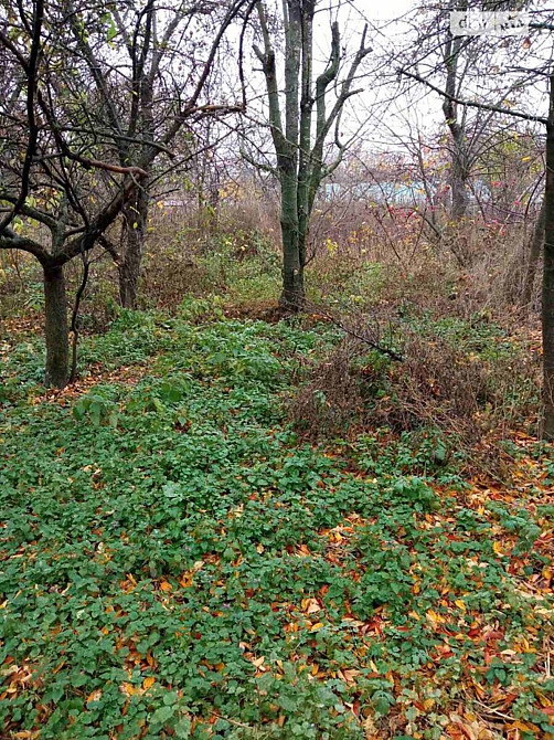 Продаж земельної ділянки 16 соток на Івана Пулія Vinnytsya - photo 5