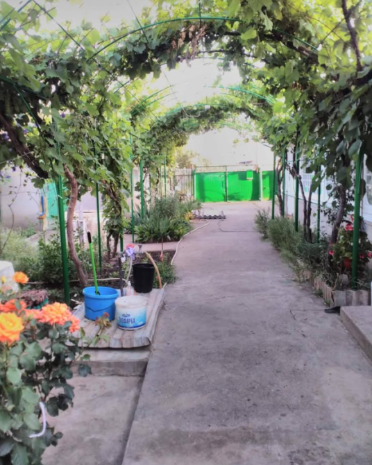 Продам дом в с.Красная Коса (70 км от Одессы) Красна Коса - фото 10