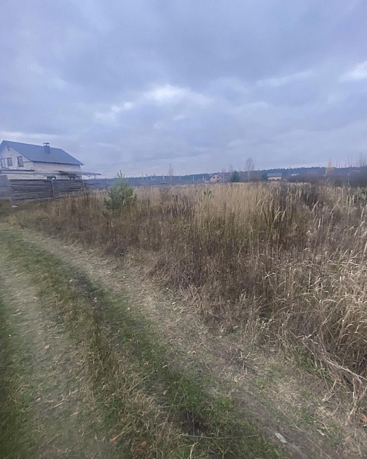 Продаж земельної ділянки 25 соток на Вишпіль Житомир - изображение 3