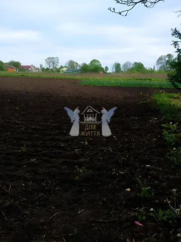 Продажа земельного участка  площадь 26.94 сот Просвіти (1 Травня) вулиця 1  - изображение 1