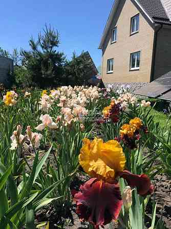 Продаж Будинок 7-кімнатний на вул. Лесі Українки Merefa