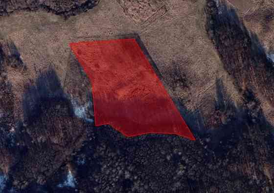 Продаж земельної ділянки 1 га на Урочище Біля Шевадуцької Наталії Viktoriv