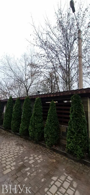 Продаж Квартира 1-кімнатна, 9/10 поверх на Целевича Ю. вул., 4 Івано-Франківськ - фото 14