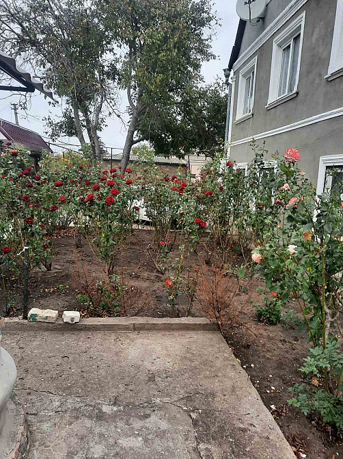 Продажа дома в центре с. Нерубайска Нерубайське - фото 2