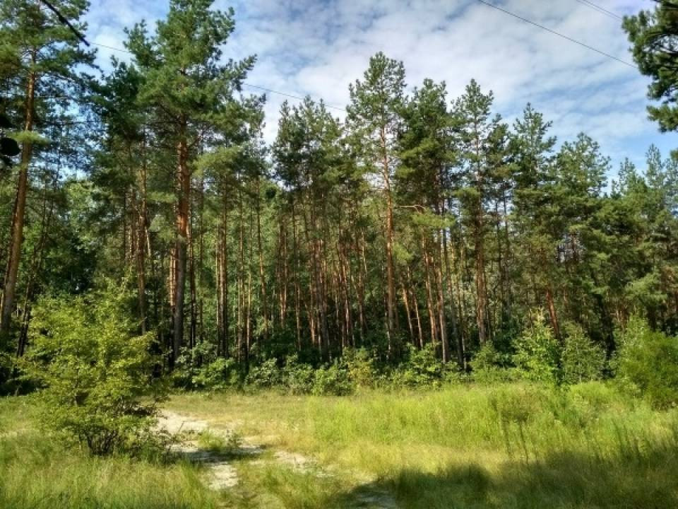 Продаж земельної ділянки на вул. Набережна, Черкаси - фото 7