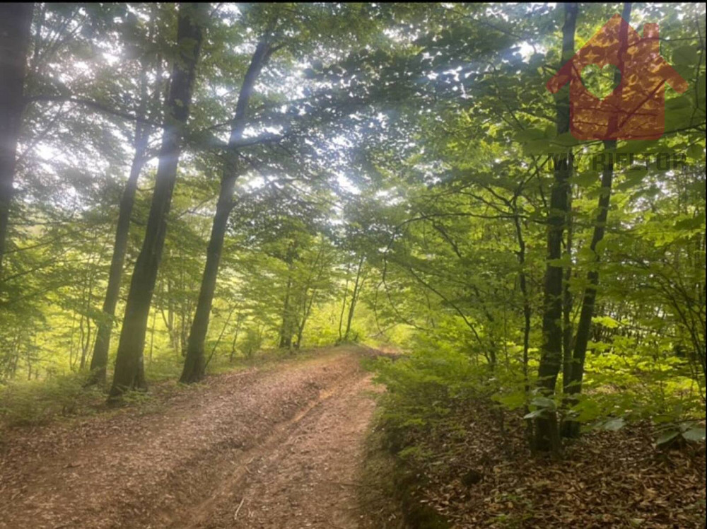 Продаж земельної ділянки 10 соток  - photo 2