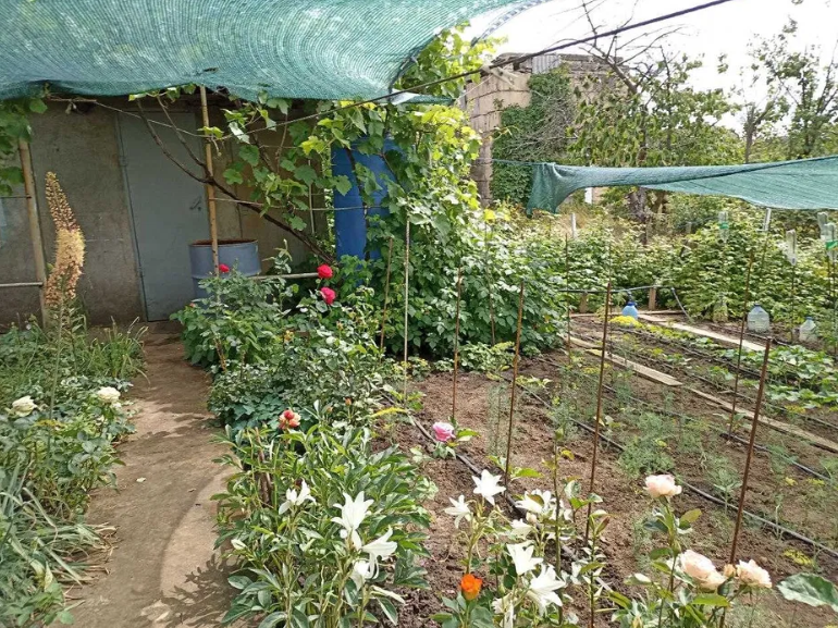 Продам дом-дачу на берегу лимана в Новодофиновском массиве (Лиманский р-н) Нова Дофінівка - фото 13