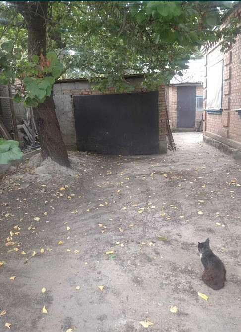 Будинок (р-н 8 школи,Бєляєва). Кропивницький - фото 10