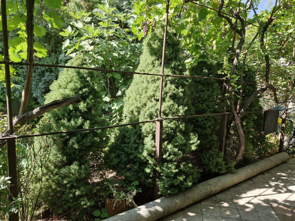 Дом в Суворовском районе (рядом Слободка и Усатово) Одесса - изображение 12