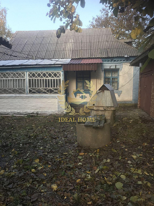 Продам затишний дерев'яний будинок, Касне Червоне (Васильківський район) - фото 4