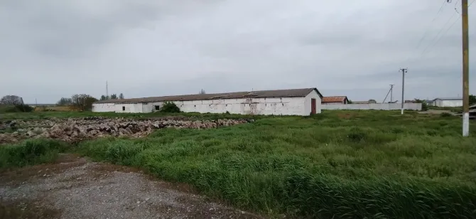 Продаж Виробниче або промислове приміщення площа 3070 кв.м 1-й поверх на MMGR+9F, Петриківський район, Дніпропетровська область, 51830 Лобойківка - фото 18