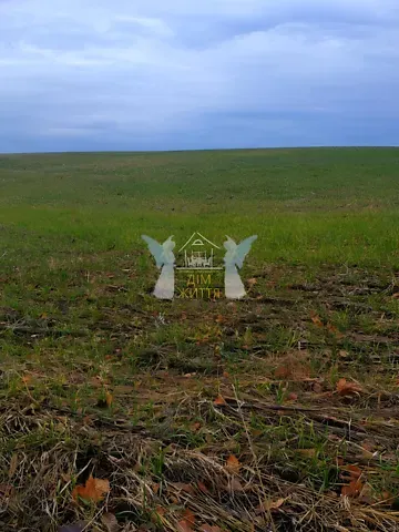 Продажа земельного участка  площадь 43 сот Лісова вулиця 1  - изображение 9