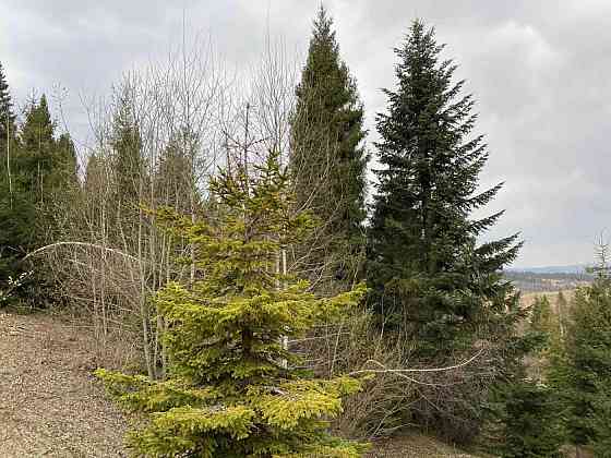 Продаж Квартира на улица Під Митою 13 Орявчик