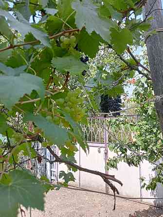 Продам дачу на берегу Хаджибеевского лимана (35 км от Одессы) Єгорівка