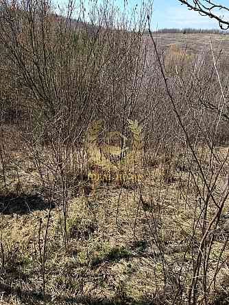 Продаж земельної ділянки 18 соток Гвоздів