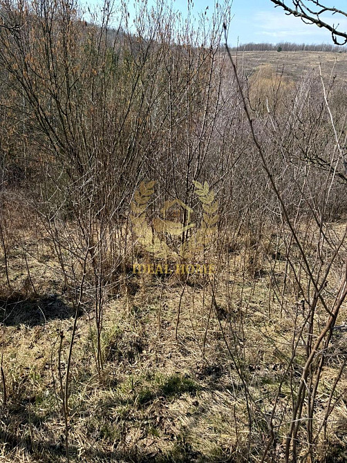 Продаж земельної ділянки 18 соток Гвоздів - фото 4