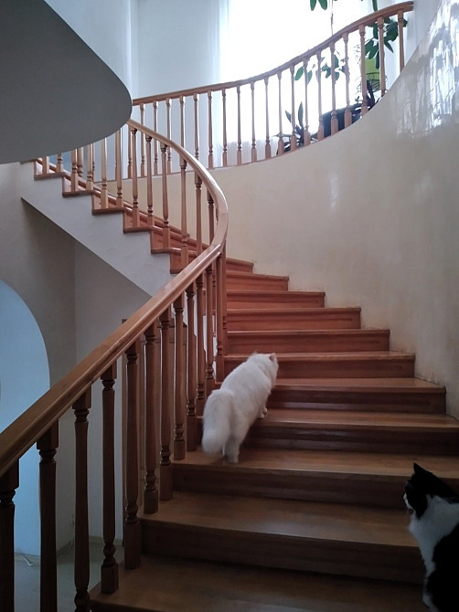 Просторий будинок з ремонтом, меблями та технікою Одеса - фото 8