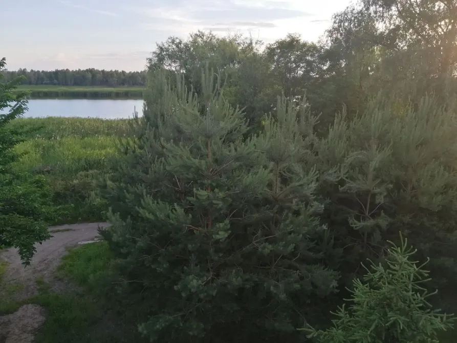 Продажа 2-этажный Дом с участком 10 сот 198 кв.м 4 комн. на Белградська Днепр - изображение 18