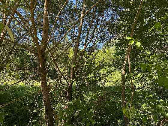 Продаж земельної ділянки 25 соток Posich