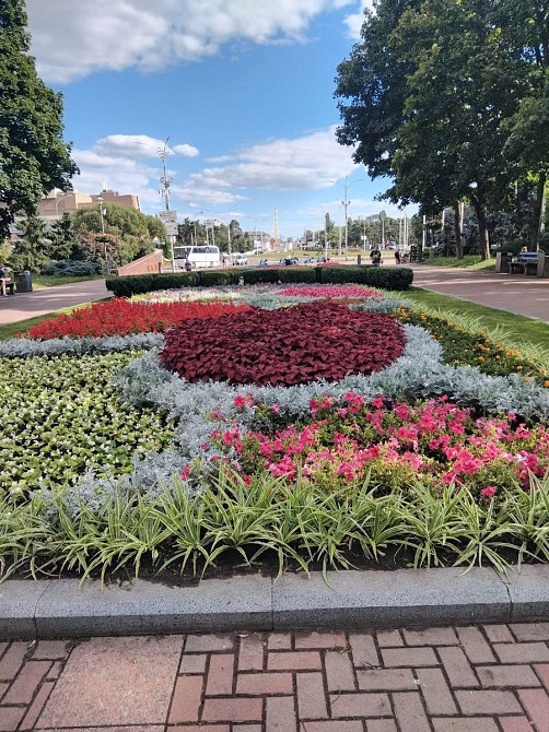 Оренда Квартира 1-кімнатна, 7/16 поверх на Князя Романа Мстиславича, 4 Киев - изображение 8