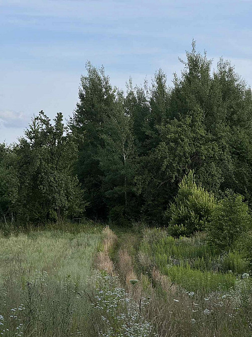 Продаж земельної ділянки 8 соток Годовиця - фото 1