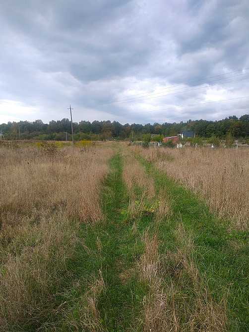 Продаж земельної ділянки 41.6 соток Pavlivka - photo 2