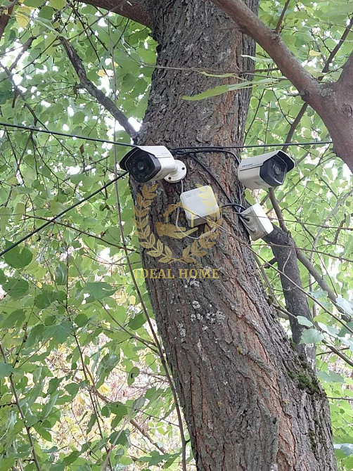 Продам будинок у Півці,Можливо під виплату  - фото 20