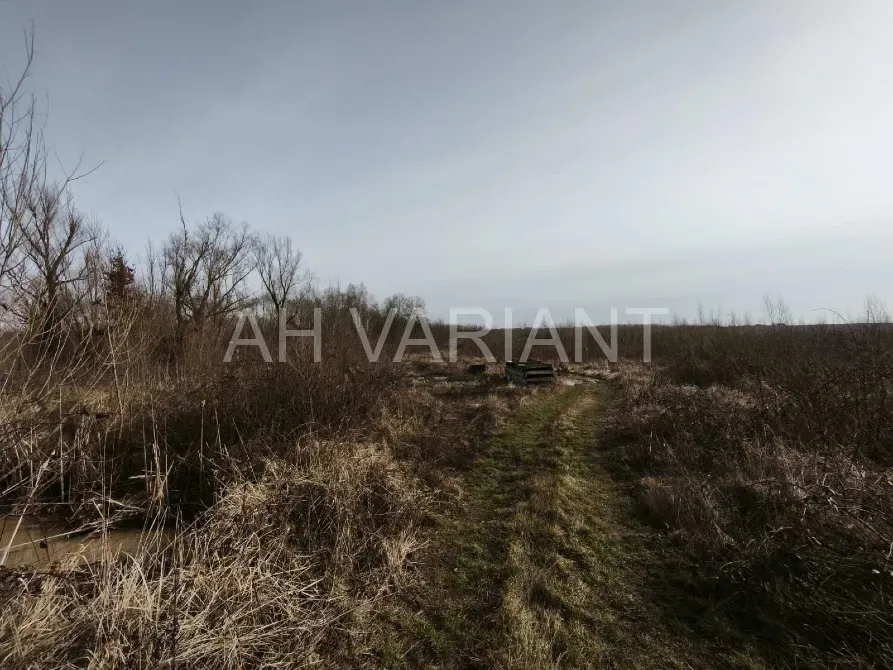 Продаж земельної ділянки Для сільськогосподарської діяльності площа 1191 сот Польова Середнє - фото 12