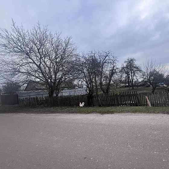 Продаж земельної ділянки 30 соток на Клітчин Житомир