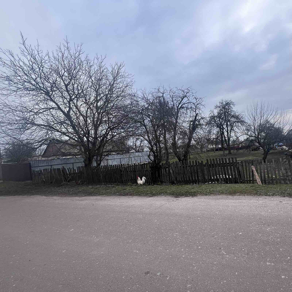 Продаж земельної ділянки 30 соток на Клітчин Zhytomyr - photo 3