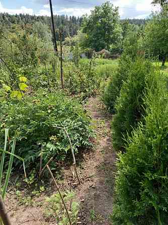 Продаж Будинок Vinnytsya