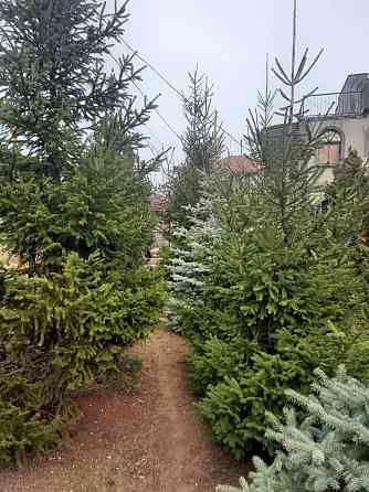 Дом - усадьба в пос. Нати на 50 сотках земли Нерубайське