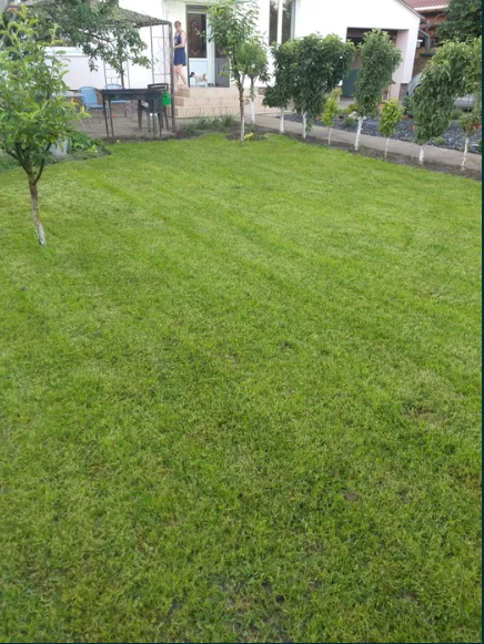 Продам дом в центре Фонтанки Фонтанка - фото 16