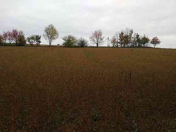 Продаж земельної ділянки 45.45 соток Олеша