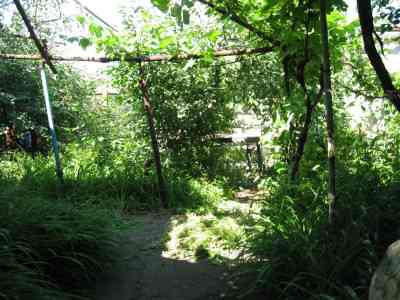 Продаж земельної ділянки 0 соток на ул. Дмитрия Донского, 17-Д Одеса