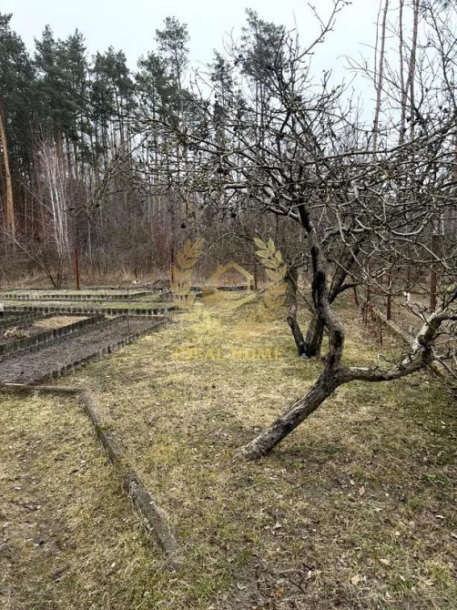 Продаж Будинок 2-кімнатний на Садовая ул., 1 Yasnohorodka (Makarivskyi raion) - photo 9