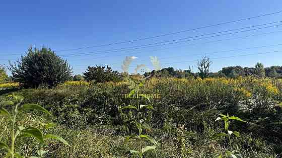 Продаж земельної ділянки 16.14 соток на Шевченко ул. Вільна Тарасівка