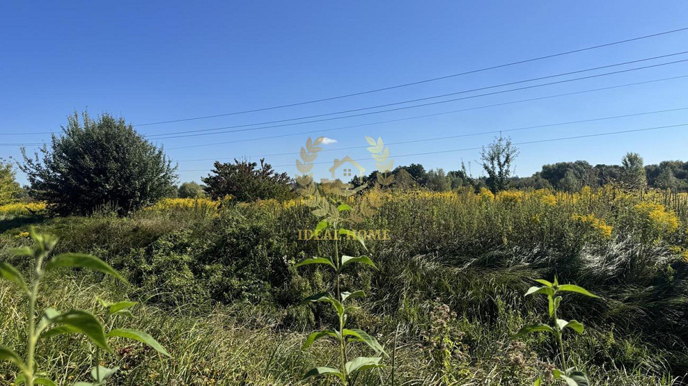Продаж земельної ділянки 16.14 соток на Шевченко ул. Вільна Тарасівка - фото 1