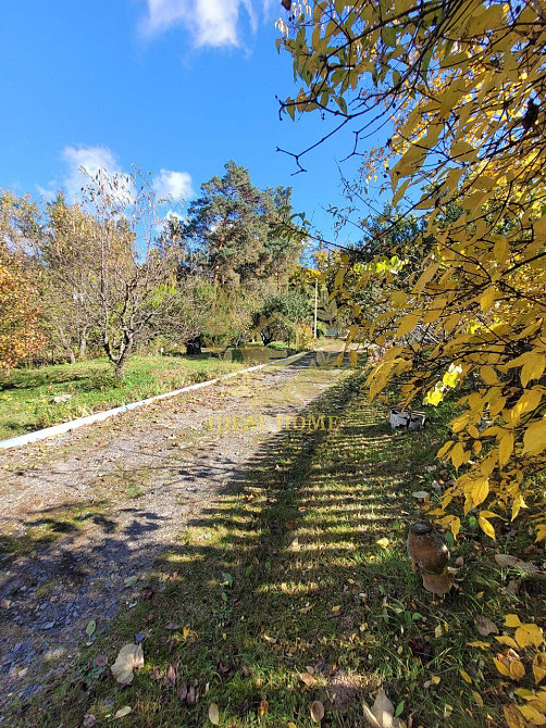 продається будинок Камянському лісництві с. Камянка Каменка (Іванківський район) - фото 9