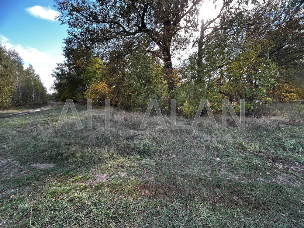 Продаж земельної ділянки 12 га на вул. Сонячна Завалівка - фото 11