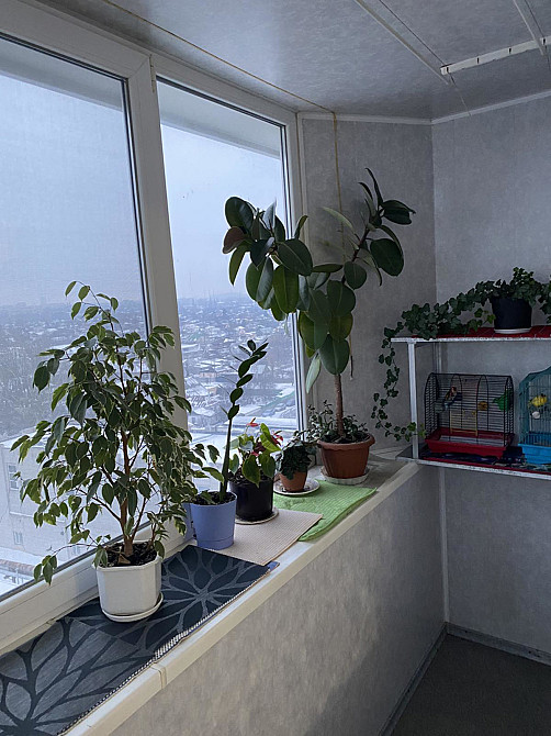 Продаж Квартира 2-кімнатна, 10/12 поверх на Радистов ул., 2 Днепр - изображение 6