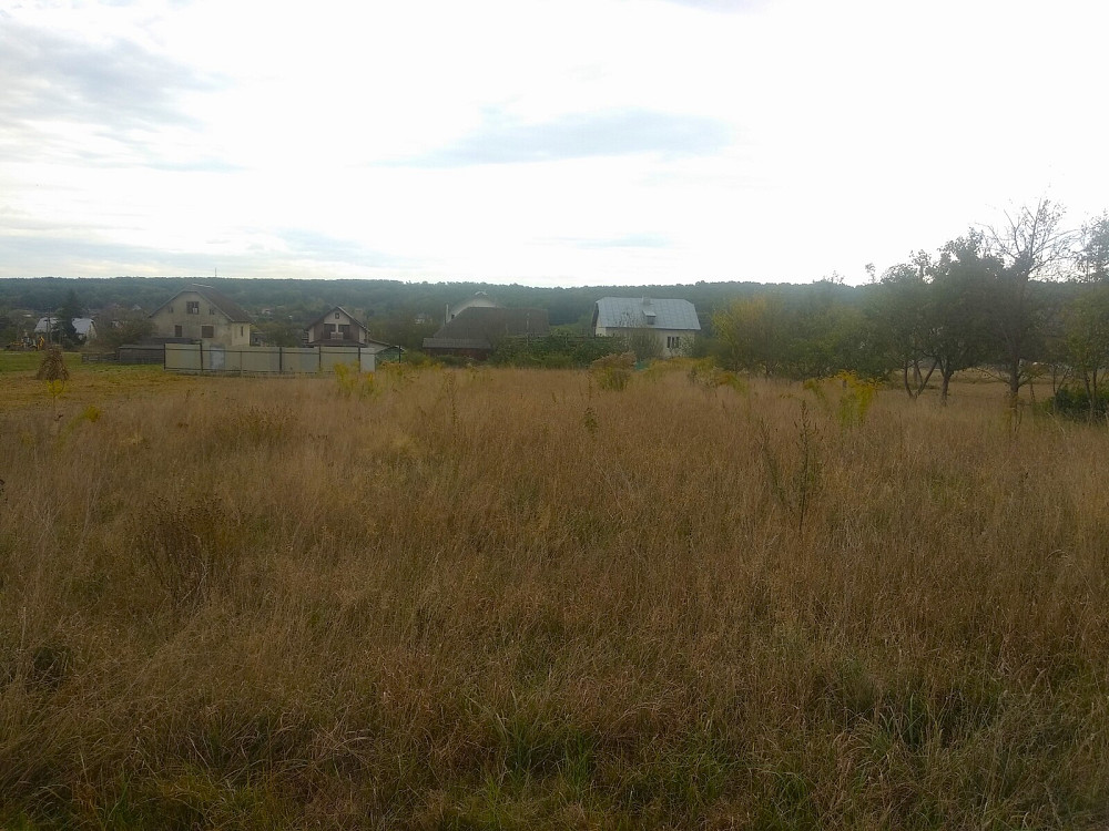 Продаж земельної ділянки 15 соток Pavlivka - photo 4