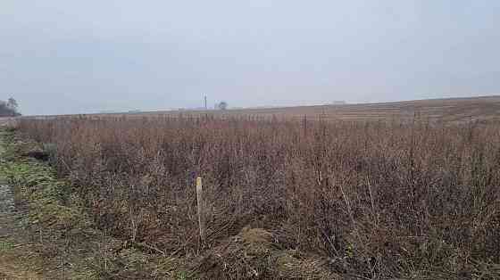 Продаж земельної ділянки 1 соток на АН Купи Дім Кропивницький