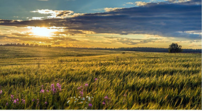 Продаж земельної ділянки 0 соток на ул. Массив 9, 2 Прилиманське - изображение 7